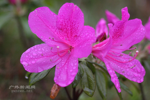 伟德bv国际体育