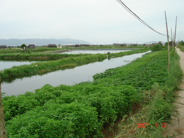 伟德bv国际体育