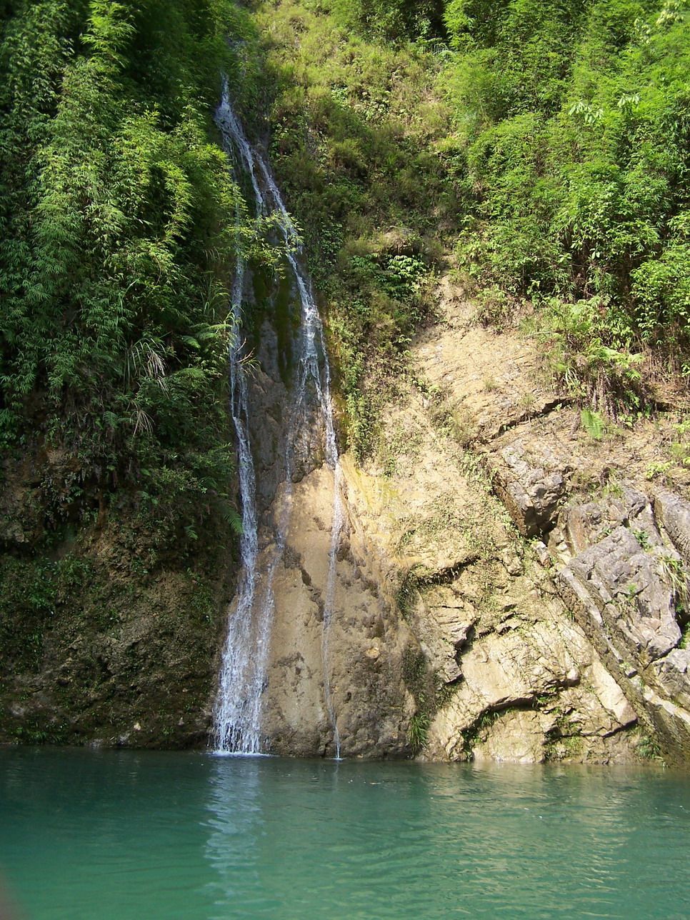 伟德bv国际体育