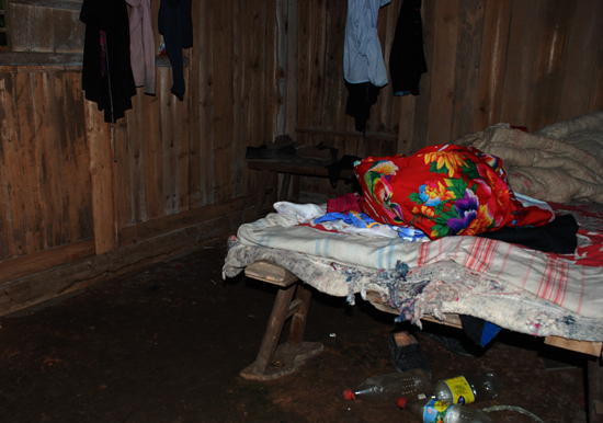 伟德bv国际体育