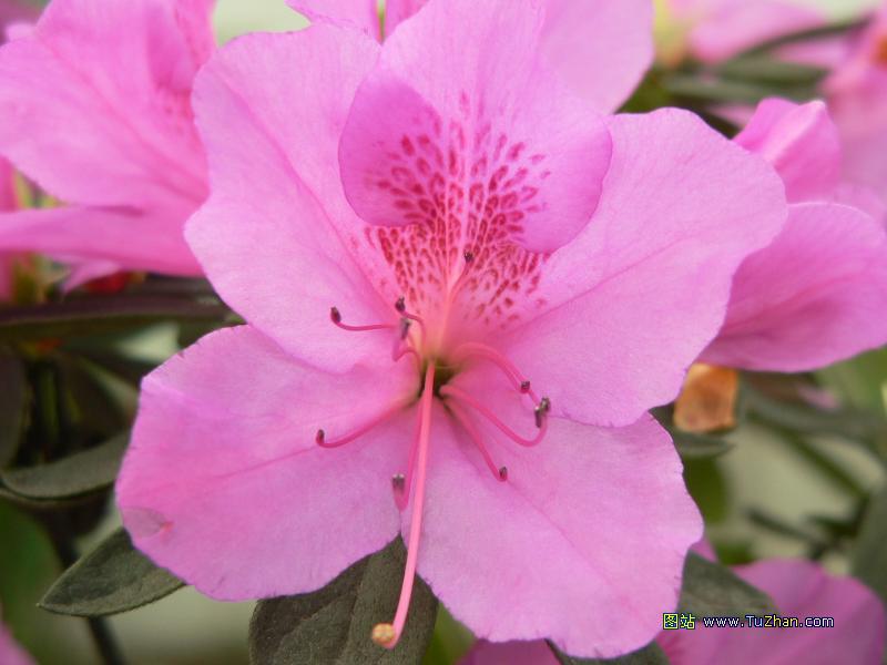 伟德bv国际体育