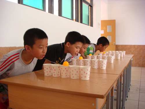 伟德bv国际体育