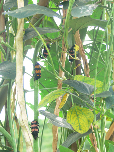 伟德bv国际体育