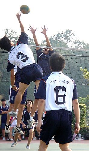 伟德bv国际体育