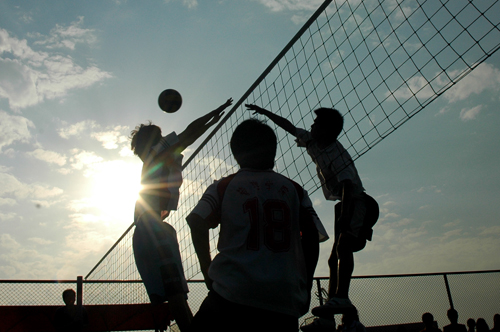 伟德bv国际体育