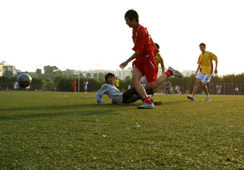 伟德bv国际体育