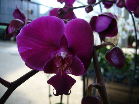 伟德bv国际体育