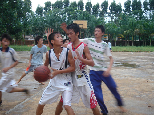 伟德bv国际体育