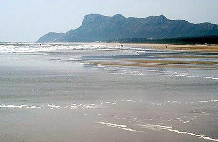 伟德bv国际体育