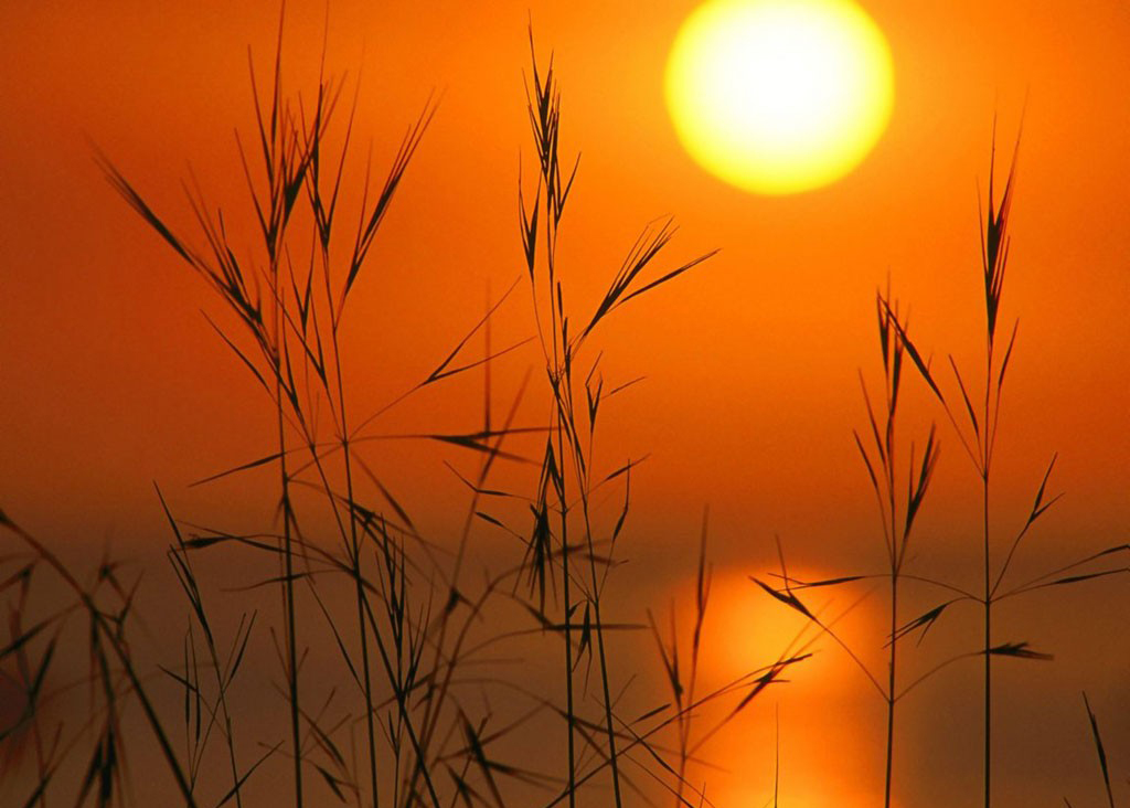 伟德bv国际体育