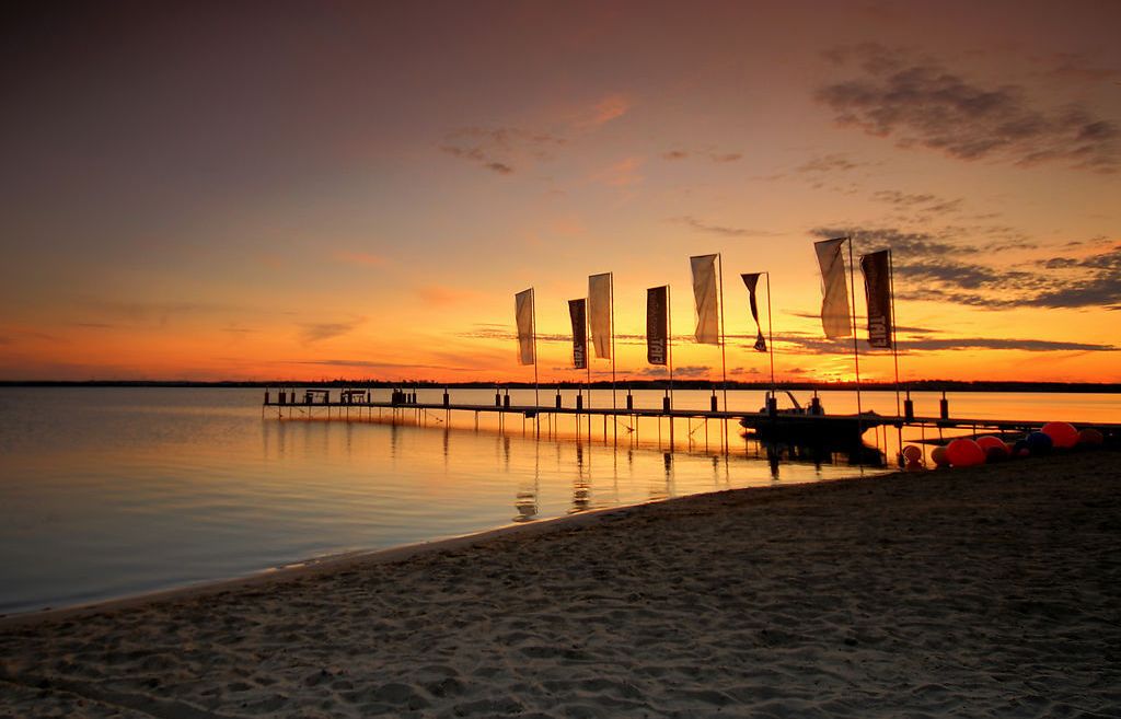 伟德bv国际体育