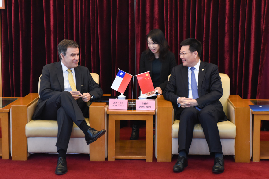 伟德bv国际体育