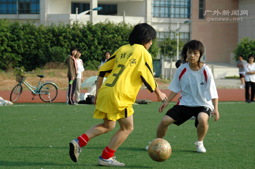 伟德bv国际体育