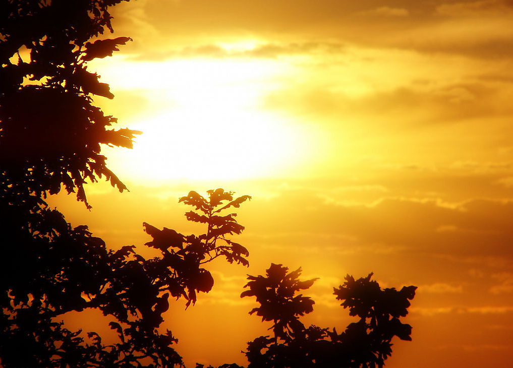 伟德bv国际体育