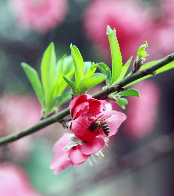 伟德bv国际体育