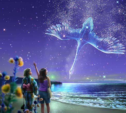 伟德bv国际体育