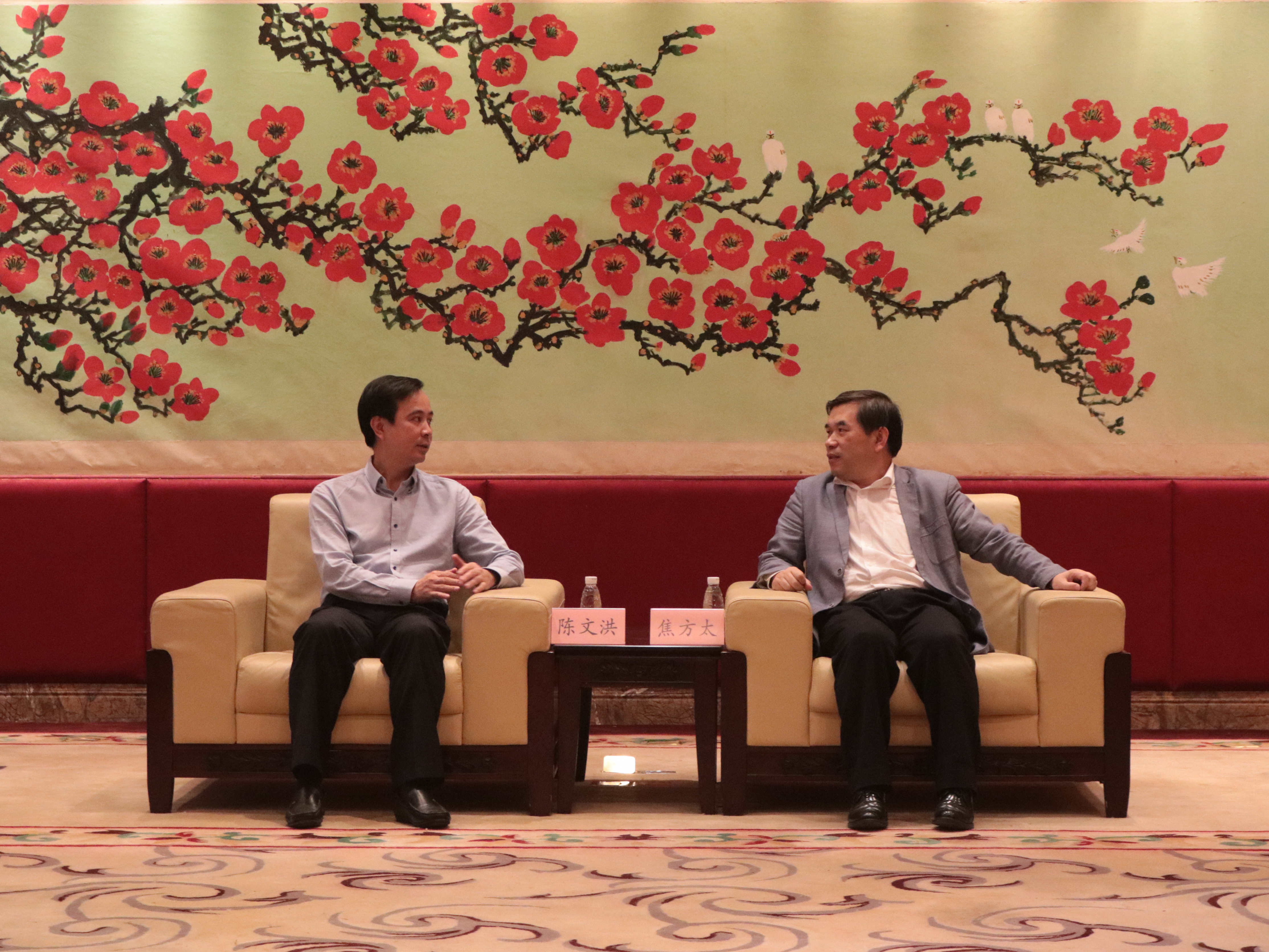 伟德bv国际体育