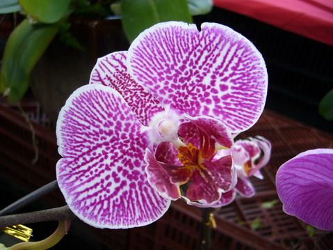 伟德bv国际体育