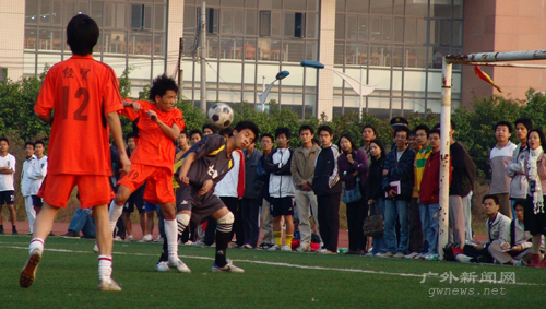 伟德bv国际体育