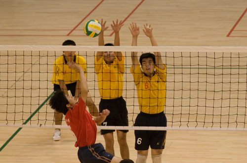 伟德bv国际体育