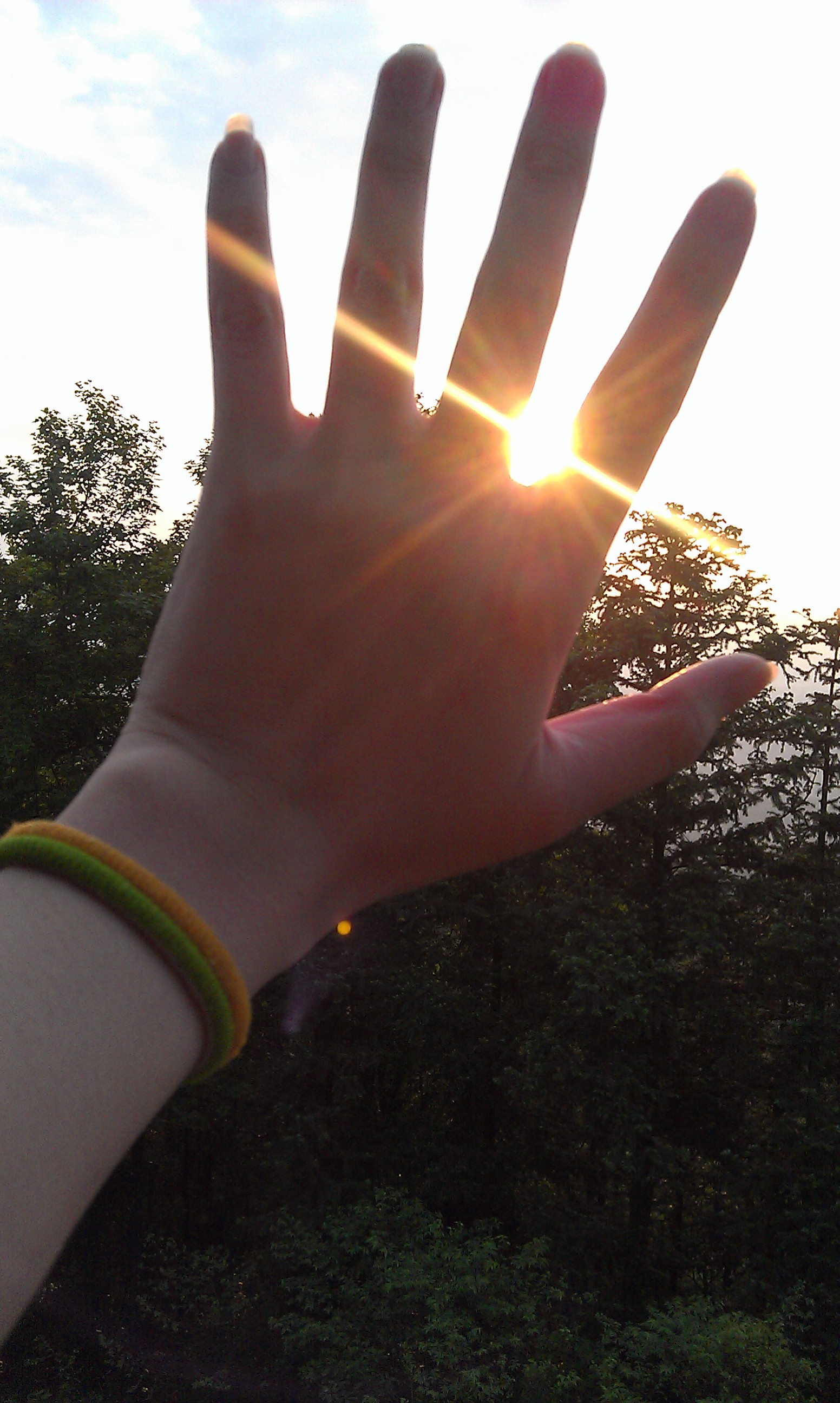 伟德bv国际体育