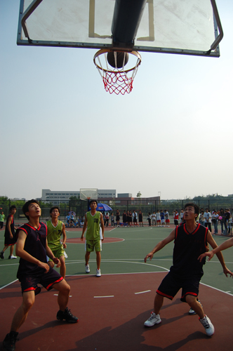 伟德bv国际体育