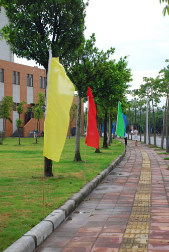 伟德bv国际体育