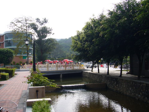 伟德bv国际体育