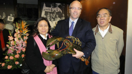 伟德bv国际体育