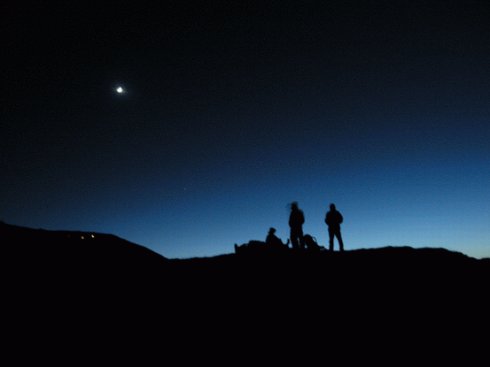 伟德bv国际体育