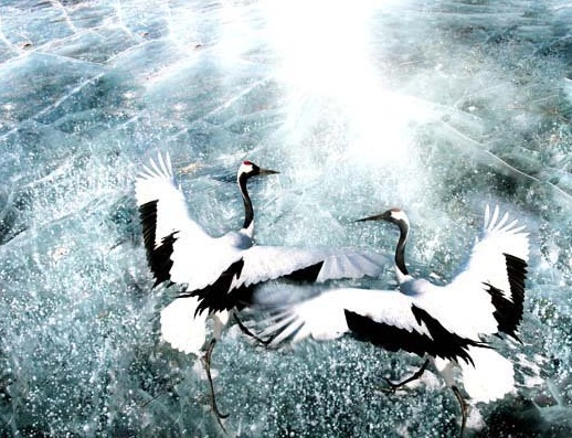 伟德bv国际体育