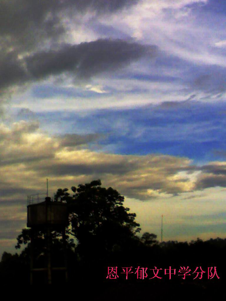 伟德bv国际体育