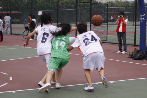 伟德bv国际体育