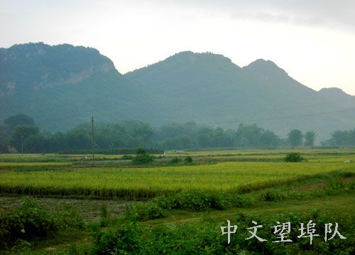 伟德bv国际体育