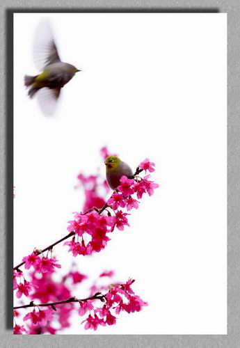 伟德bv国际体育