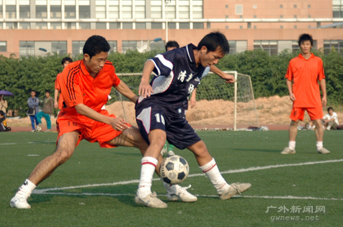 伟德bv国际体育