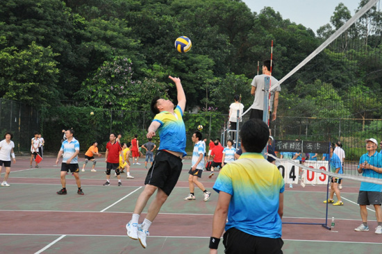 伟德bv国际体育