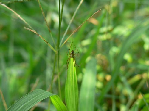 伟德bv国际体育