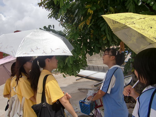 伟德bv国际体育