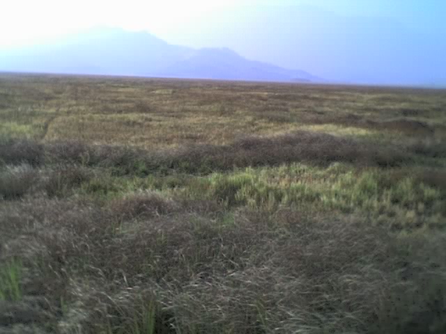 伟德bv国际体育