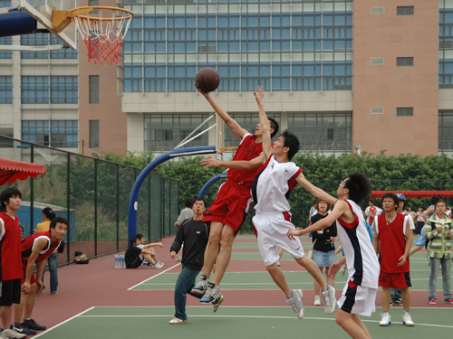 伟德bv国际体育