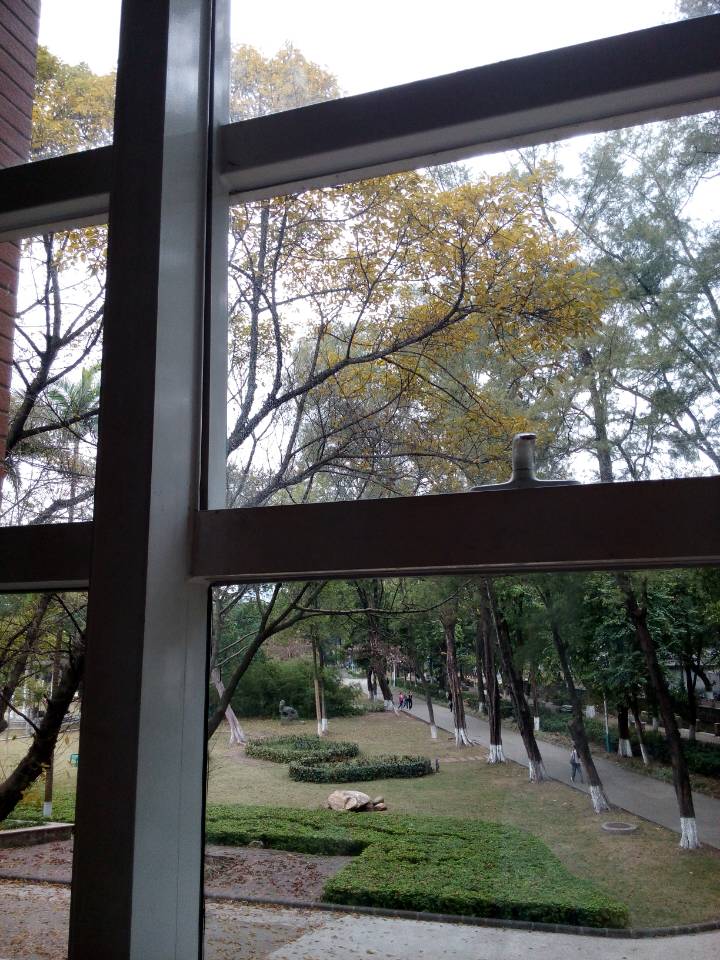 伟德bv国际体育