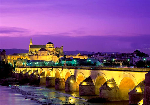 伟德bv国际体育