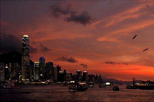 伟德bv国际体育