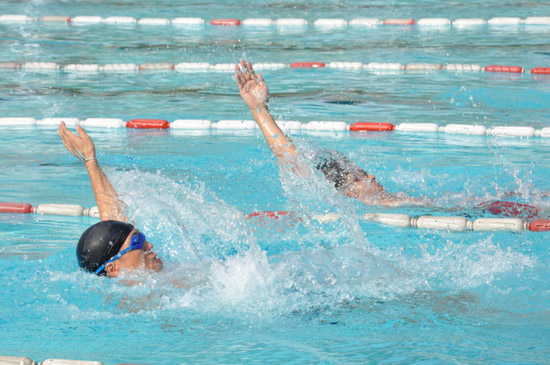 伟德bv国际体育