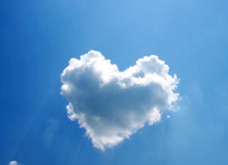 伟德bv国际体育