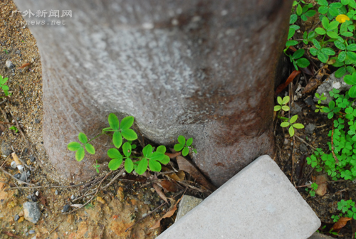 伟德bv国际体育