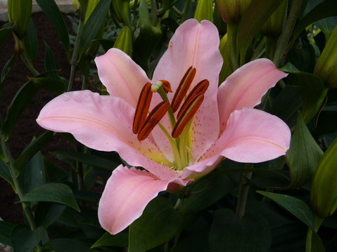 伟德bv国际体育