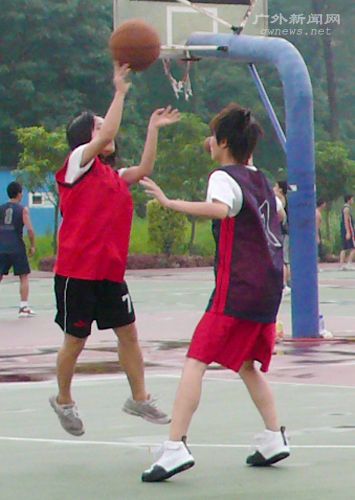 伟德bv国际体育