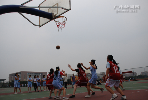 伟德bv国际体育